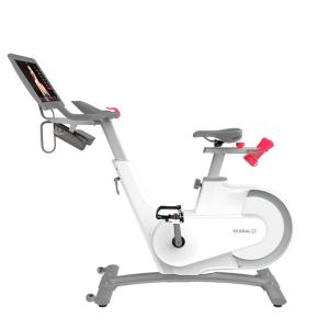 Купить Велотренажер Yesoul BV1-W PLUS в Прохладном 
